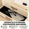 Bigso Birger 2 Drawers - Desktop Drawers for A4 and