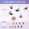 Oreola Cluster Eyelashes, 80D, 100D, Individual Eyelashes, D Curl, False