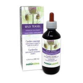 Naturalma Wild Teasel or Fuller's Teasel (Dipsacus fullonum or D. sylvestris) Root Alcohol-Free Tincture - 4 fl oz Liquid Extract in Drops - Herbal Supplement - Vegan