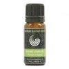 Thyme 100% Pure Essential Aromatherapy Oil 10ml