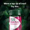 Nature's Own Iron Plus with Folic Acid, Vitamins C, B6,