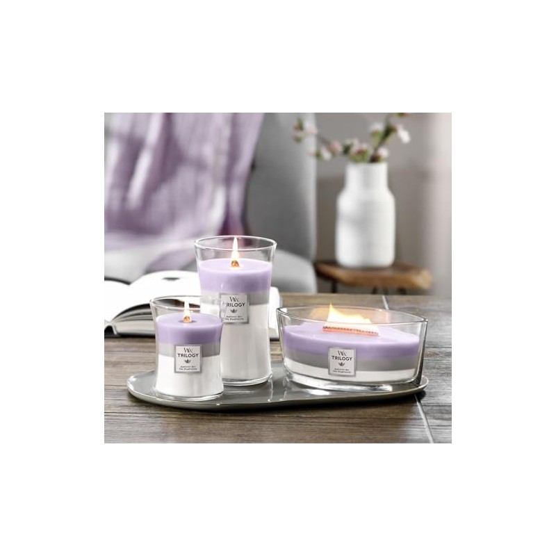 WoodWick ウッドウィック TRILOGY JARS トリロジージャー Mサイズ AMETHST SKY アメジストスカイ アロマキャンドル[並行輸入]