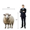 Life Size Cardboard Cutout Standup | Waterproof | Animals -