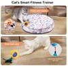 Aero Zen Interactive Cat Toys for Indoor Cats,Self Rolling Cat