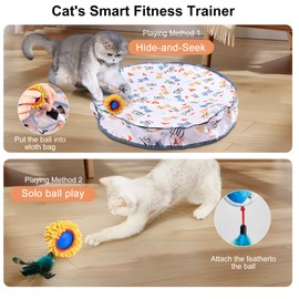 Aero Zen Interactive Cat Toys for Indoor Cats,Self Rolling Cat Ball in Play Mat,Automatic Motion Activated Moving Toy Hide and Seek Chase Game for Bored Cats