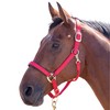 Shires Topaz Nylon Pony/Horse Headcollar - Purple Small Pony