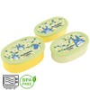 Skater SRS3SAG Ag+ Antibacterial Storage Container, Set of 3, Totoro,