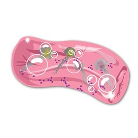 Wiggly Jiggly - Jellyfish from Deluxebase. Water Snake Fidget Toys for Stress & Anxiety Relief, Sensory Toy for Kids & Adults, Ideal for Autism and Party Favours.