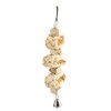 Bird Chewing Toys Hanging Natural Wood Parrot Swing Chewing Toys