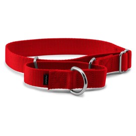 PetSafe Martingale Collar 1" Medium, Red