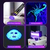 DARKBEAM Flashlight UV Black Light 395 NM, Mini but Powerful