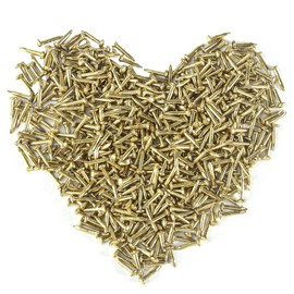 HVDHYY 500pcs 1.5 * 25mm Small Nails for Wood Golden Round Head Masonry Nail Picture Nails for Walls DIY Assorted Flat Head Nail