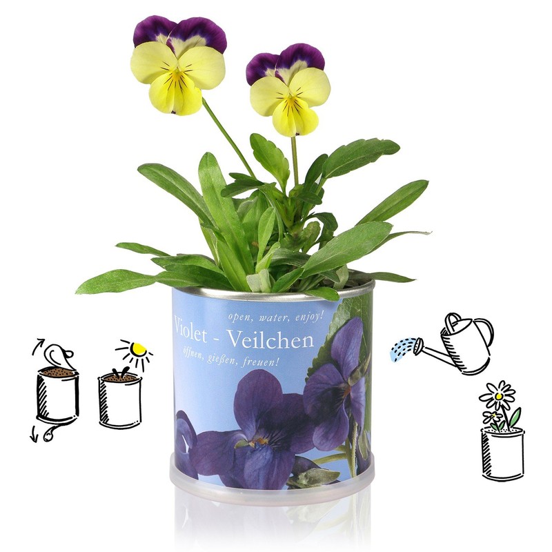 Flowers in the Tin Gift Set-Mint-Chili