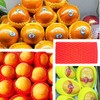 50 Pieces Fruit Protection Bags Foam Mesh Keep Safe Mesh