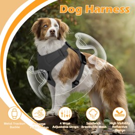Light Up Dog Harness, Adjustable No Pull Reflective Vest with Front/Back Clips, Step-In Breathable Mesh for Small to Medium Dogs, Night Walking Safety & Training Control