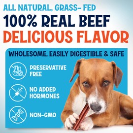 FETCHERONI Odor-Free Thin Bully Sticks (12 Inch, 10 Pack), 9 Ounce Bag, Fully Digestible 100% Beef Pizzle Chews, Grass-Fed, Non-GMO, Grain-Free, Natural Long-Lasting Chews for Small & Large Dogs