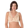 Eden House Ladies | Pack of 3 Bra Cotton Lace