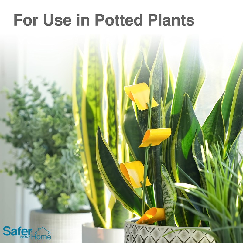 Safer Brand Home SH5026-3SR Houseplant Sticky Stake Insect Traps for