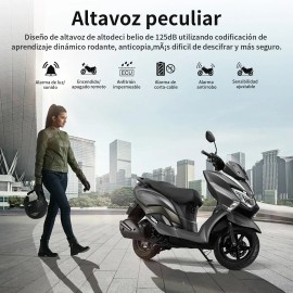 Bajaj Mica Protectora Dominar 400 / 250 Ppf Transparente