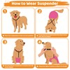 TenaLucy Dog Nappy Suspenders, Dog Nappy Suspenders, Dog Suspenders for