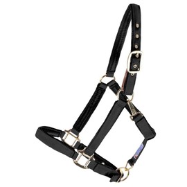 Dura-Tech Deluxe Fully Padded Breakaway Horse Halter | Cob Size - Black | 1” Double Ply Nylon Web Overlay | Heavy-Duty Hardware | Semi Custom Fit | 3-Point Cheek Attachment