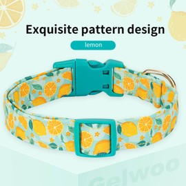 Gelwoo Cute Dog Collar Adjustable and Lightweight for Girl Female Boy Dogs,Soft and Fancy Summer Dog Collar with Lemon Special Design Pet Collar for Small Medium Large Dogs (L, Yellow)