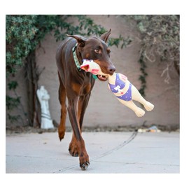 PUREPET 14 Inch Large Rubber Chicken Dog and Pet Toy Classic Henrietta or Earl in Beach Wear Latex Squawkers (14 Inch Henrietta)