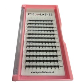 Russian Premade Lashes 6D D Curl 8-15 Mix Length Pre Made Lash Fans Volume Lashes Promade Lash Extensions Pre Made Lash Fans Eyelash Tray (6D 0.07 D Curl 8-15 Mix)