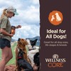 Wellness CORE Tiny Trainers Dog Treats, Natural, Training Treat, Grain