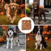 KIROGILY Disfraz Halloween Perro, Melena de León Realista