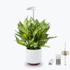 LED Grow Lights for Indoor Plants, Smart USB Small Full