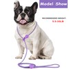 Slip Lead 6FT Slip Leash for Dogs No Pull Dog