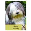 Bearded Collie Dog Birthday Card