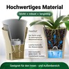 Happy Plants Orchid Pot D 14.7 cm Flower Pot with