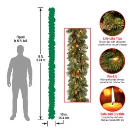 National Tree Carolina Pine Garland with Clear Lights, 9 Feet