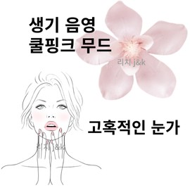Dinto Eye Shadow Glitter Matte Shading Makeup No. 73 / 딘토 아이섀도 글리터 매트 음영 메이크업 73호