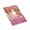 Japanese Romantic Pink Plum Bloom Floral Blossom Flower Park Cherry