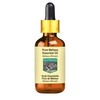 Devprayag Pure Melissa Essential Oil (Melissa officinalis) with Glass Dropper