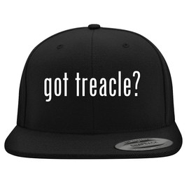 got Treacle? - Embroidered Structured Flat Bill Hat | Trendy Baseball Cap for Men and Women | Modern Cap in Snapback Closure | Black | One Size