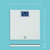 Weight Watchers Scales by Conair Scale for Body Weight, Digital