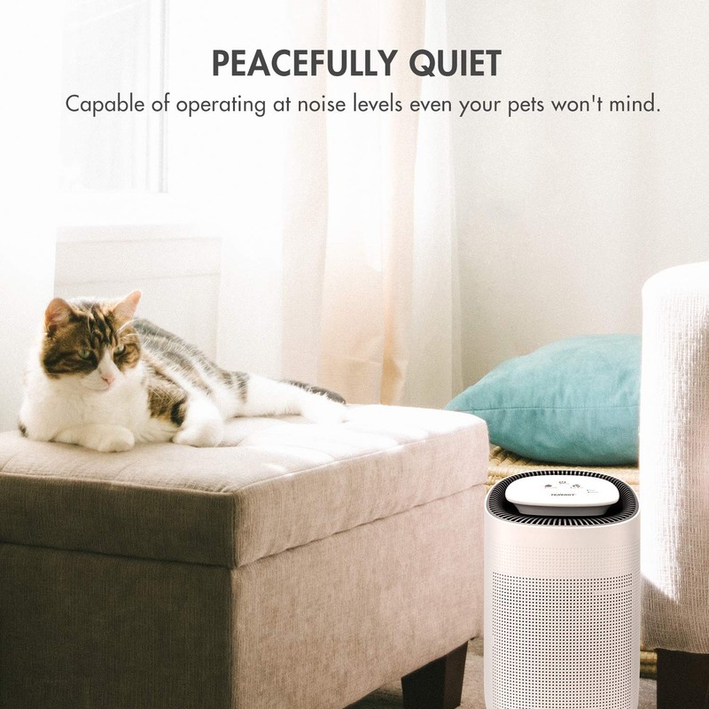 Tenergy Sorbi 1000ml Air Dehumidifier w/Purifying Function, True HEPA Filter,