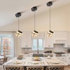 TKHKY Crystal Pendant Light Fixture,Black Pendant Light with 3 Color