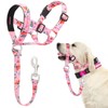 DOMIGLOW No-Pull Dog Headcollar - Adjustable Head Halter Collar for