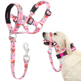 DOMIGLOW No-Pull Dog Headcollar - Adjustable Head Halter Collar for Dogs, Padded Gentle Leader to Stop Heavy Pulling on The Leash, Anti-Pull Training Muzzle for Easy Control on Walks (Pink, Medium)