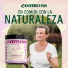 Commons Hongos Adaptógenos - Astragalus - Extracto en Polvo 100