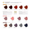 Colortech 10 Tinte Profesional Cabello Tono Elegir Tubo 90g