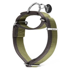 Dazzber Martingale Collar 1.5 Inch Wide 1200D Extra Strong Nylon Dog Collar, No Pull Heavy Duty Dog Collar with 2-Color Stripe for Medium to XLarge Dogs (Large, 1 1/2 Inch Wide, Military Green)