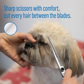Fenice Totem Dog Grooming Scissors: 5 in 1 Pet Shears Kit Made Of Japanese 9CR Advanced Stainless Steel Professional Grooming Scissors for Dogs Cats and Other Pets