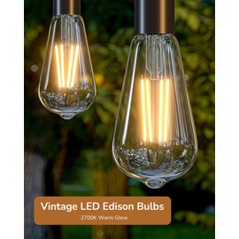 EDISHINE 6 Pack Vintage LED Edison Bulbs 8W Equivalent 60W, ST64 Dimmable Led Light Bulbs, 700LM 2700K Warm White Light E26 Base, Decorative Antique LED Filament Bulbs for Home and Commercial