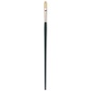 Winsor & Newton Size 6 Winton Hog Filbert Brush